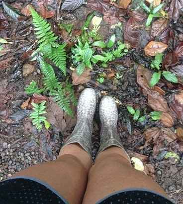 BAH - Costa Rican Jungle Bushwhacking! *Lots of Pics!*