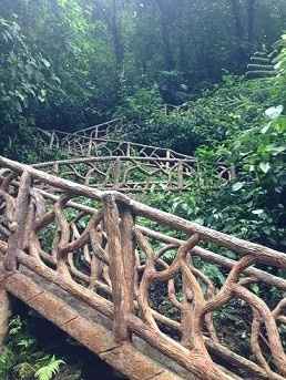 BAH - Costa Rican Jungle Bushwhacking! *Lots of Pics!*