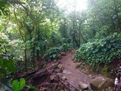 BAH - Costa Rican Jungle Bushwhacking! *Lots of Pics!*