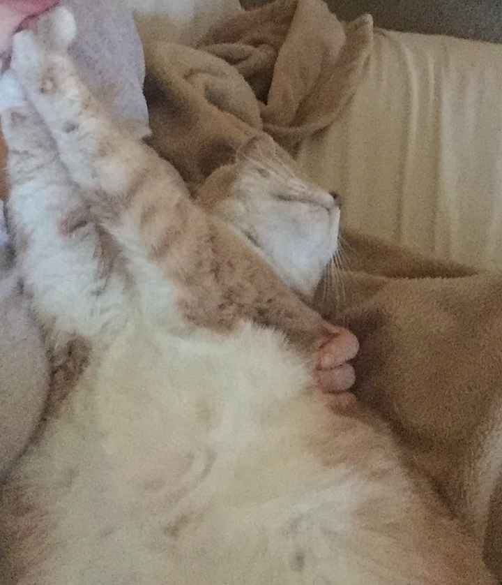 Enough lurking...Hello WW!