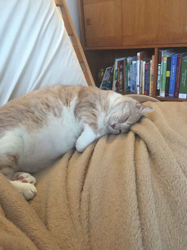 Enough lurking...Hello WW!