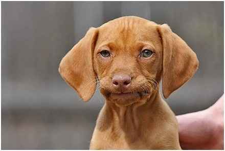 mixed wedding feelings hmm ..