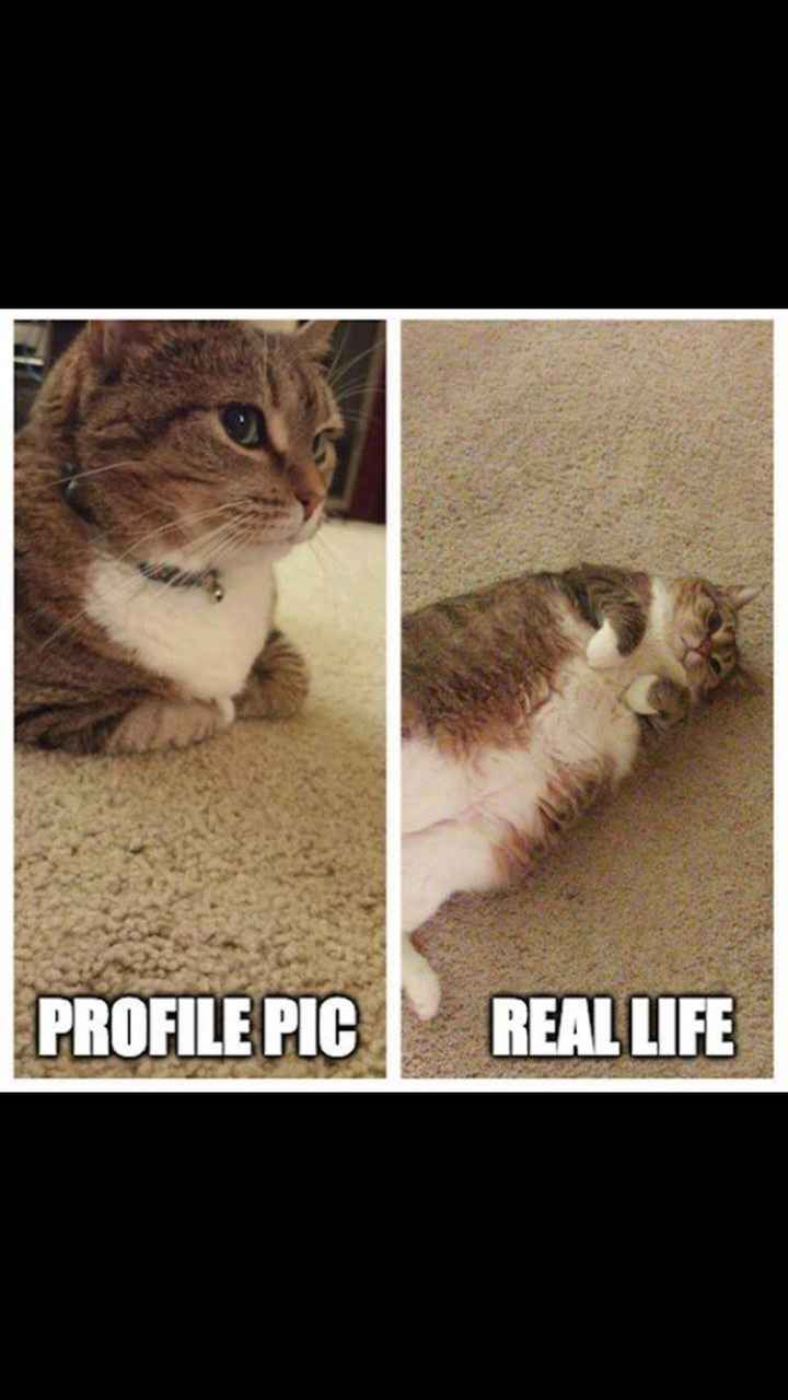 1 2 3 4 - I Declare a Meme War