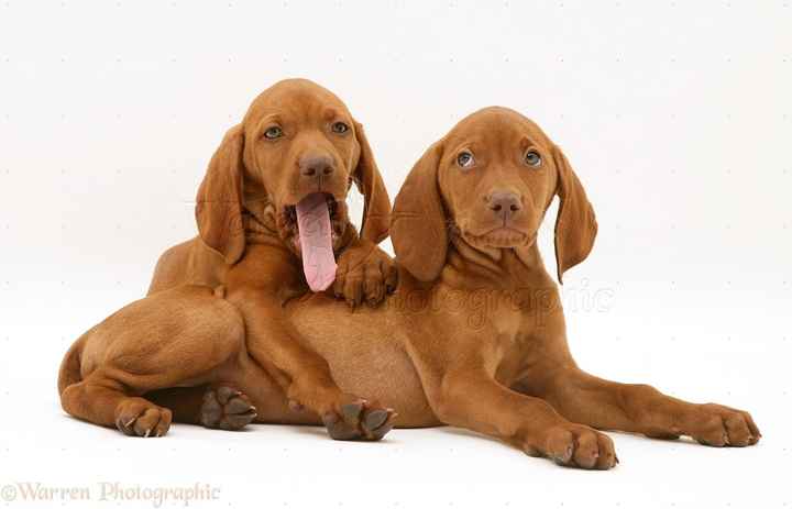 Favorite picture of you and your SO (photo request)