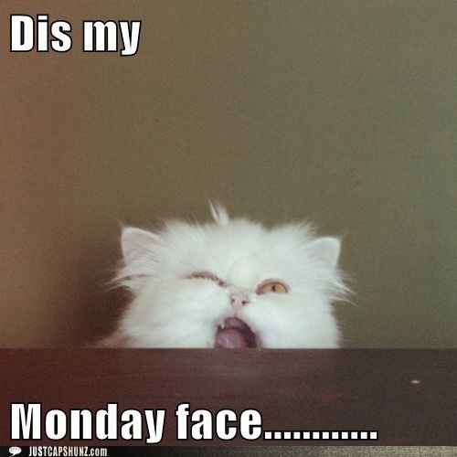 I Hate Monday