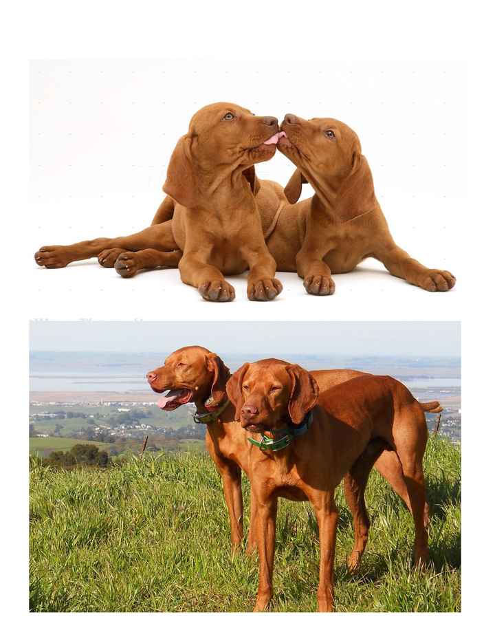 First and most recent picture of you and your SO