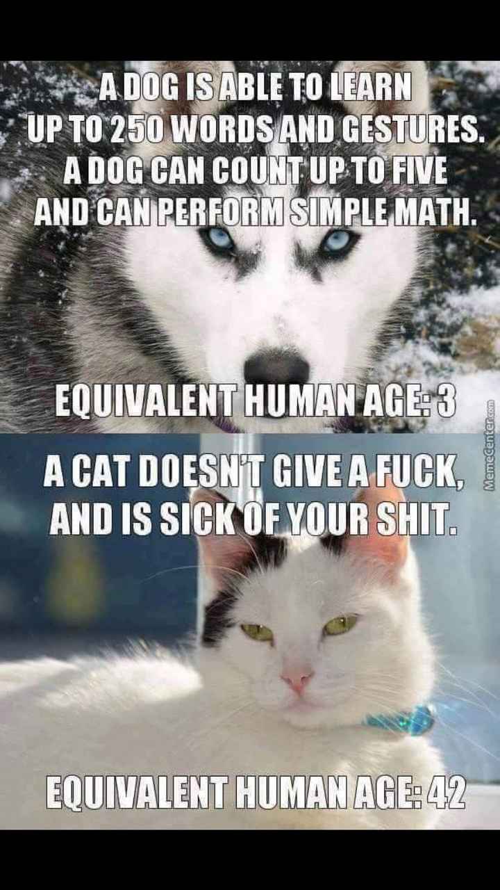 NWR: I didn't get the promotion