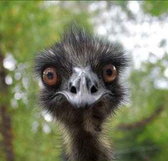 April 2016 Brides - we've hit a milestone!