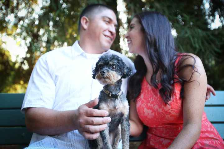 Engagement Pics - which is your favorite?