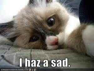 STDs - IDGAF and I'm sad