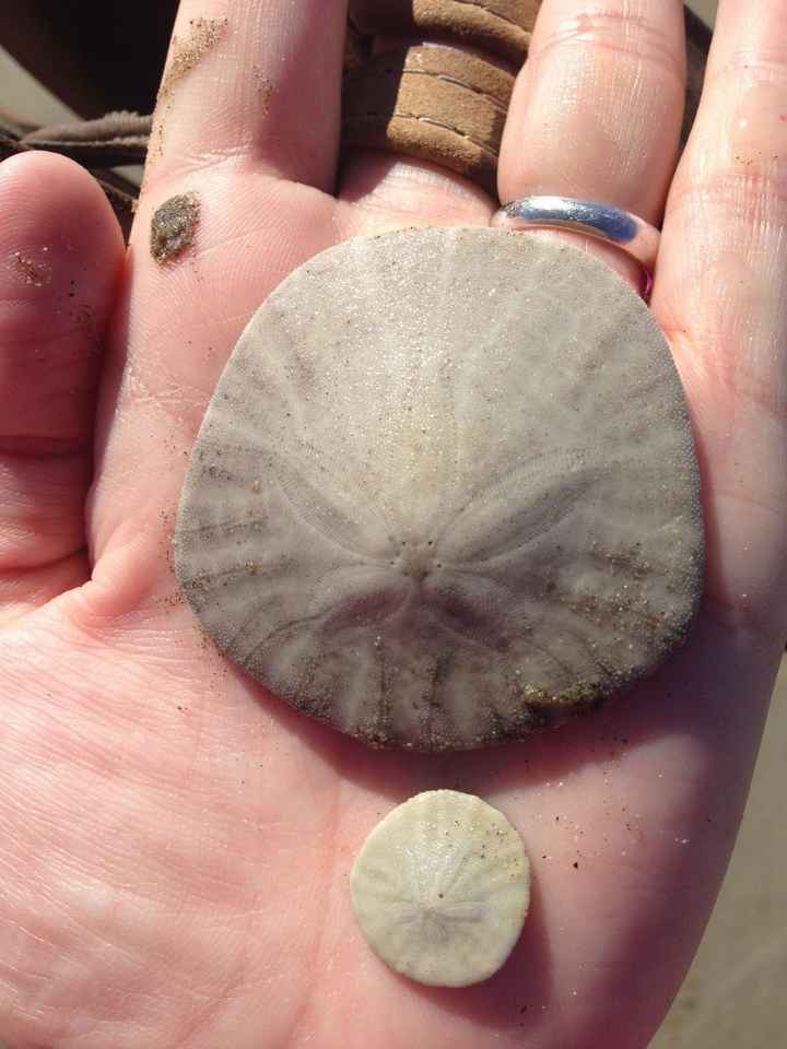 Back and....Anniversaried?? 10 Years!