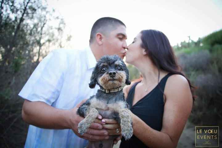 The Wedding is REAL!!!