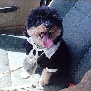 I LOVE my fur baby!