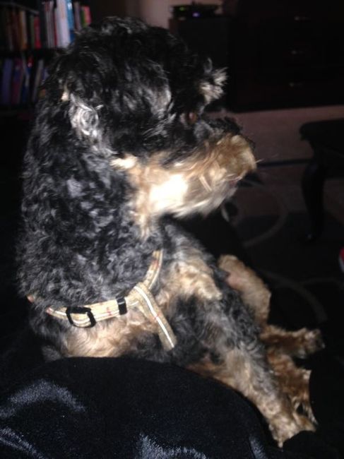 Whose helping you WW!?!