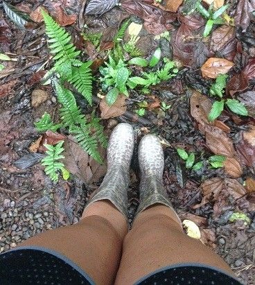 BAH - Costa Rican Jungle Bushwhacking! *Lots of Pics!*