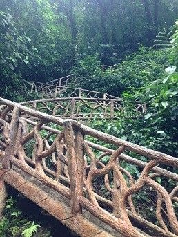 BAH - Costa Rican Jungle Bushwhacking! *Lots of Pics!*