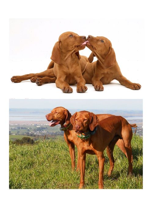 First and most recent picture of you and your SO