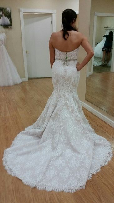 Yes to the Dress - with Pics! So glad that I've finally found it!