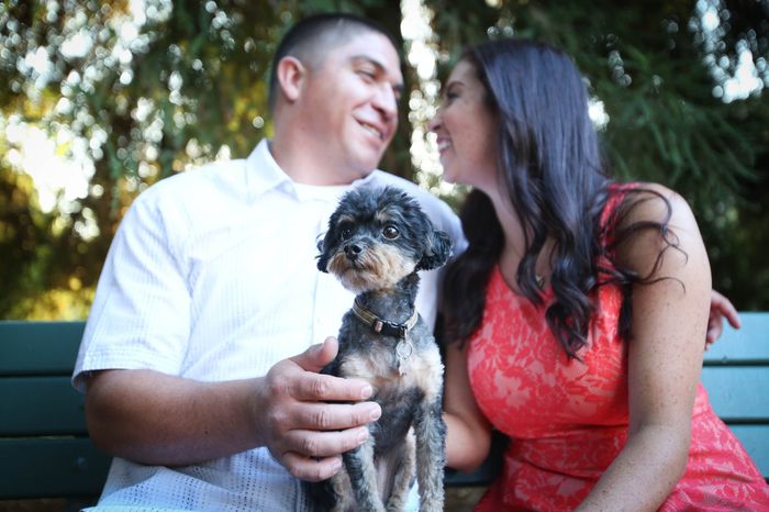 Engagement Pics - which is your favorite?