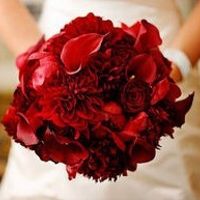 My First Fitting!!! (pics!)