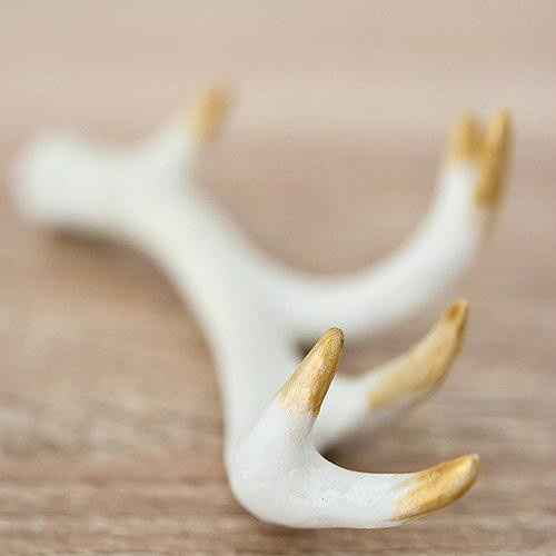 antlers dipped in gold 