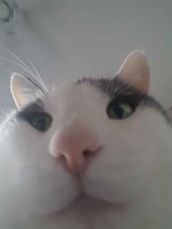 NWR: Today freaking sucks.