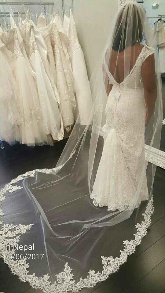 Show me your bustles