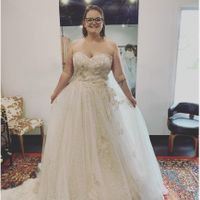 the Dress. - 2