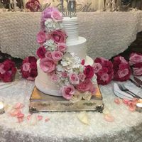 bam (non pro pics) - 7