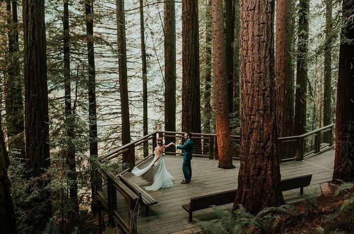 Does anyone know any really beautiful woodsy areas in oregon that would be free/cheap to hold a wedding ceremony? 1