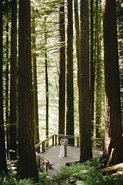 Does anyone know any really beautiful woodsy areas in oregon that would be free/cheap to hold a wedd