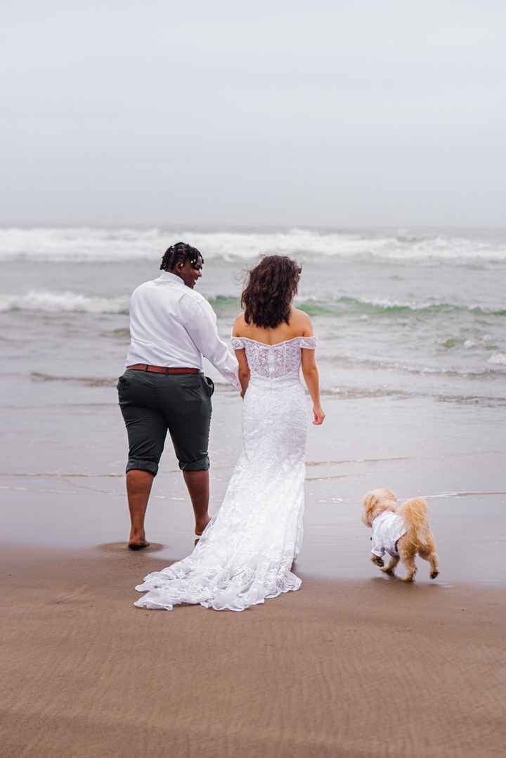 Pro-bam - $5k Oregon Coast Elopement With Our Pup - 19