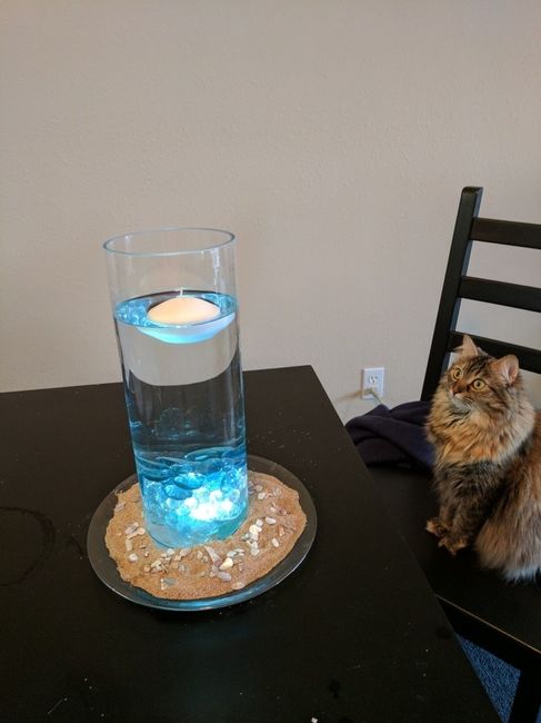 Thoughts on beach centerpieces?
