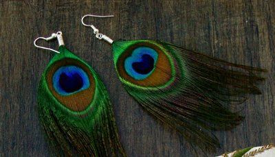 Peacock Brides...