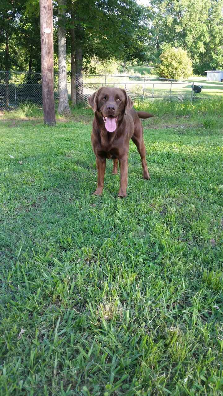 NWR Show me your furbabies