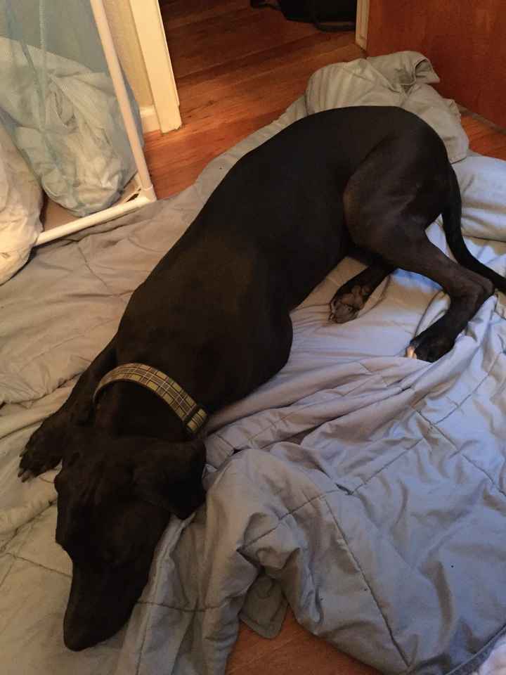 NWR Happy Fursday!!!