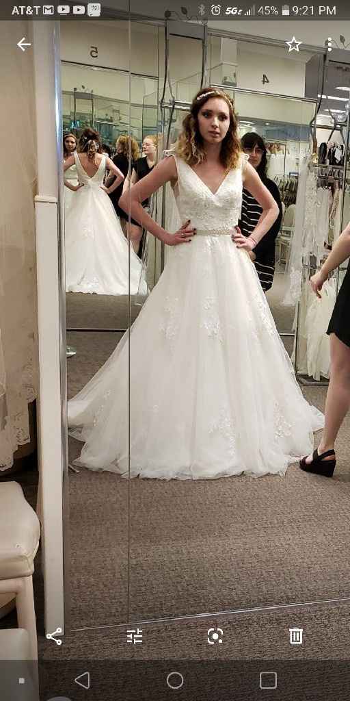 Princess Ball gown - 1