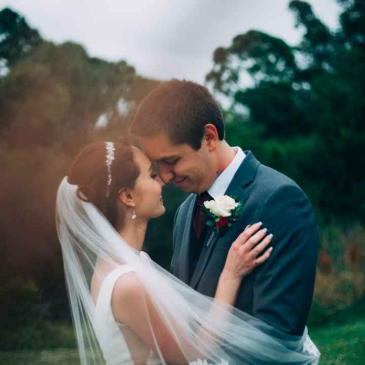 bam 11-8-20 professional and non professional photos - 1