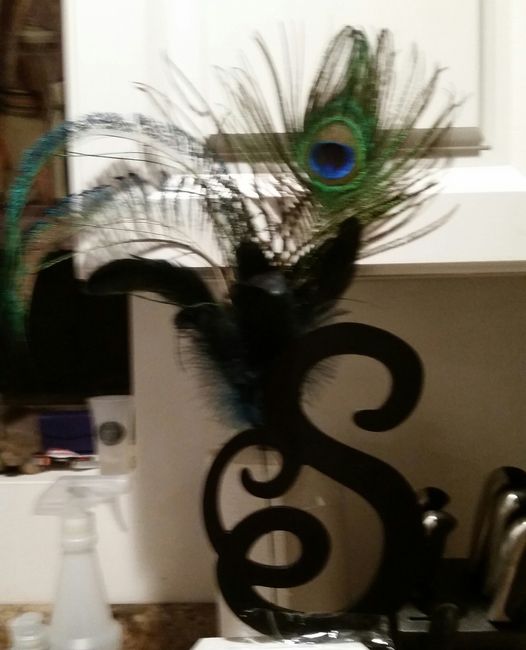 First  DIY opinions please