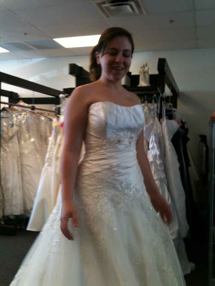 Dress is almost paid off! Pics Attached *