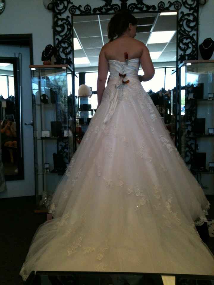 Dress is almost paid off! Pics Attached *