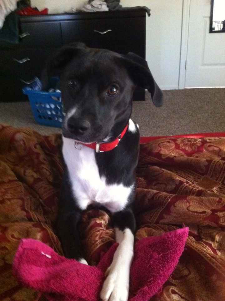 NWR: Fur Babies!