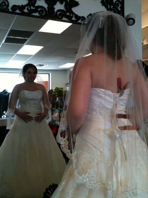 Dress is almost paid off! Pics Attached *