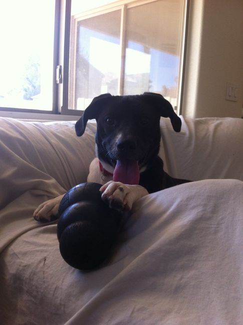 NWR: Fur Babies!