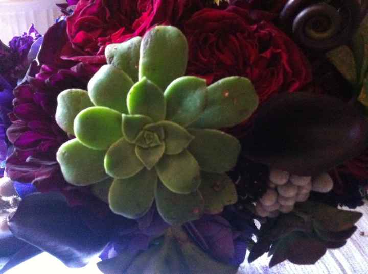 So my flowers were beautiful, but wrong :(