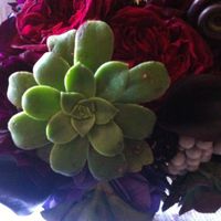 So my flowers were beautiful, but wrong :(