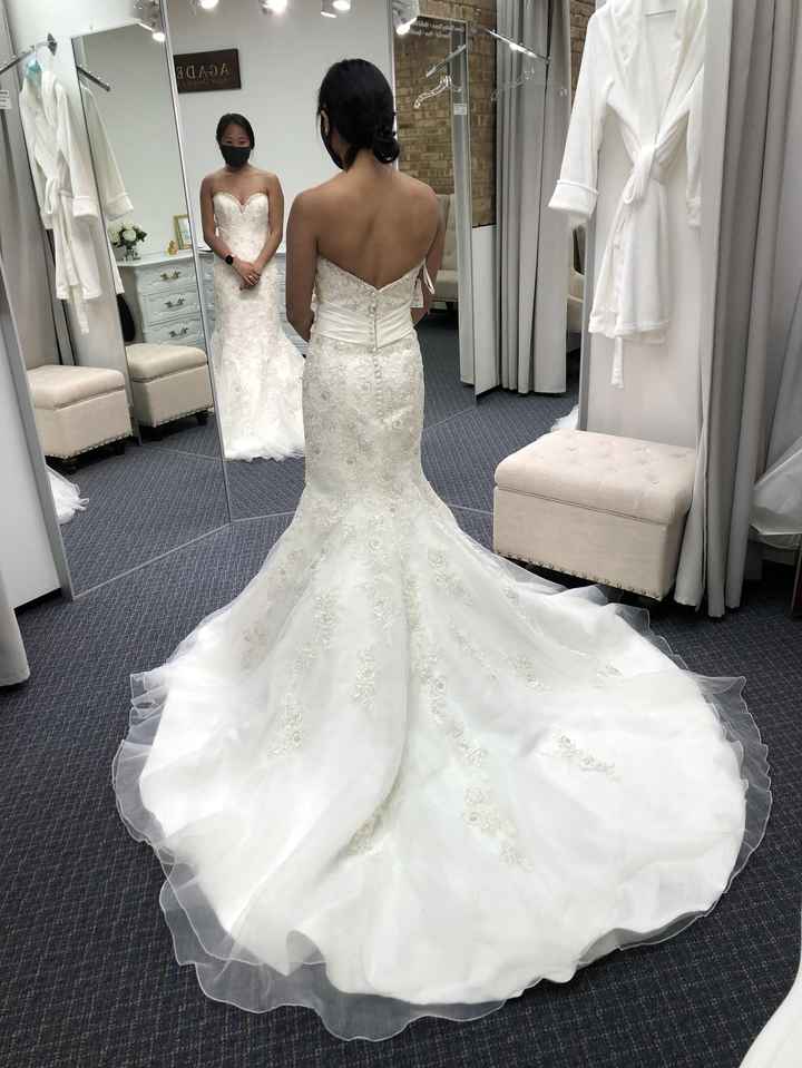 Fingertip or Chapel Veil- Help! - 1