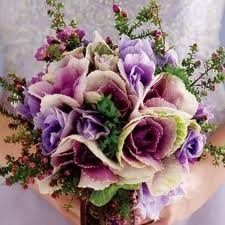 wedding color combos....