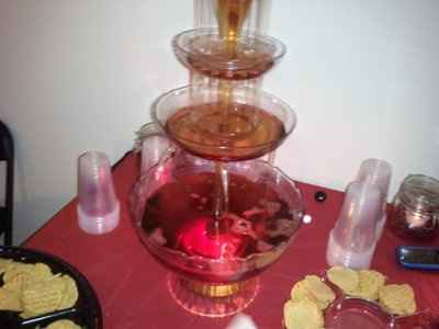 my bridal shower pics