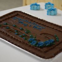 more wedding pics (very picture heavy)